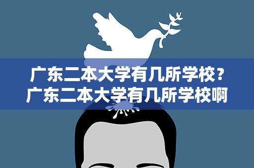 广东二本大学有几所学校？广东二本大学有几所学校啊