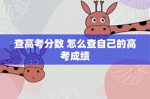查高考分数 怎么查自己的高考成绩
