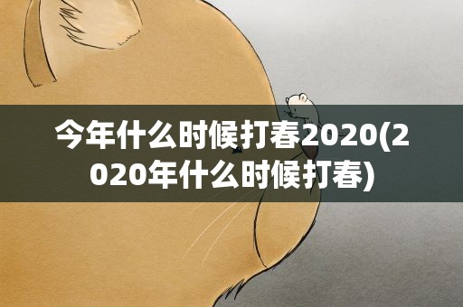 今年什么时候打春2020(2020年什么时候打春)