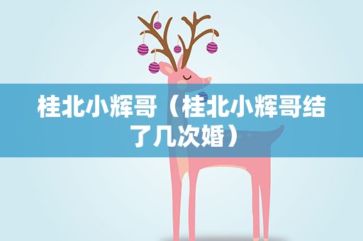 桂北小辉哥（桂北小辉哥结了几次婚）