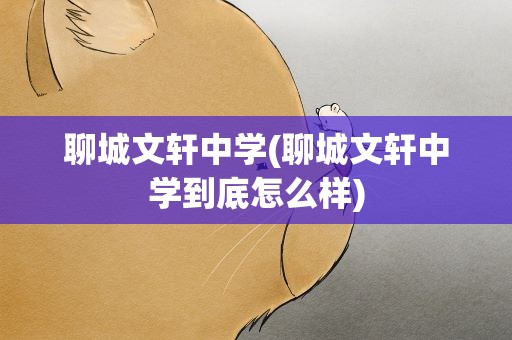 聊城文轩中学(聊城文轩中学到底怎么样)