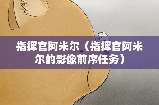 指挥官阿米尔（指挥官阿米尔的影像前序任务）