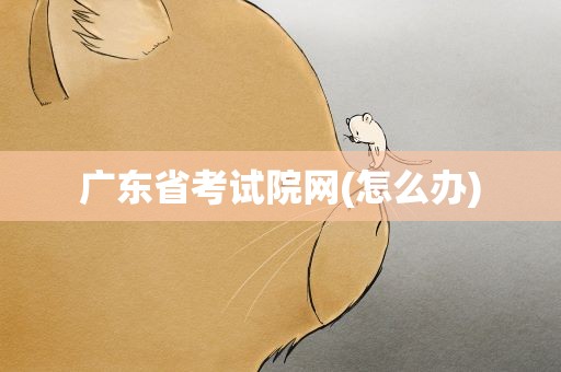 广东省考试院网(怎么办)