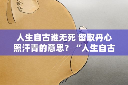 人生自古谁无死 留取丹心照汗青的意思？“人生自古谁无死,留取丹心照汗青”的意思是什么
