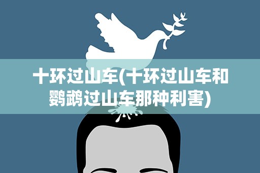 十环过山车(十环过山车和鹦鹉过山车那种利害)