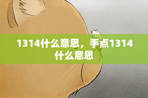 1314什么意思，手点1314什么意思