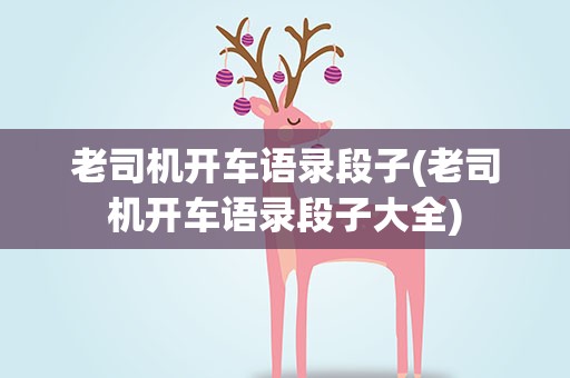老司机开车语录段子(老司机开车语录段子大全)