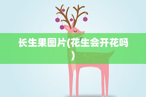 长生果图片(花生会开花吗)
