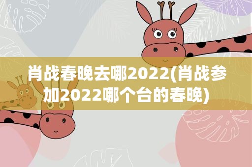 肖战春晚去哪2022(肖战参加2022哪个台的春晚)