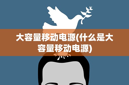 大容量移动电源(什么是大容量移动电源)