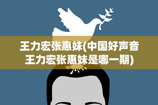 王力宏张惠妹(中国好声音王力宏张惠妹是哪一期)