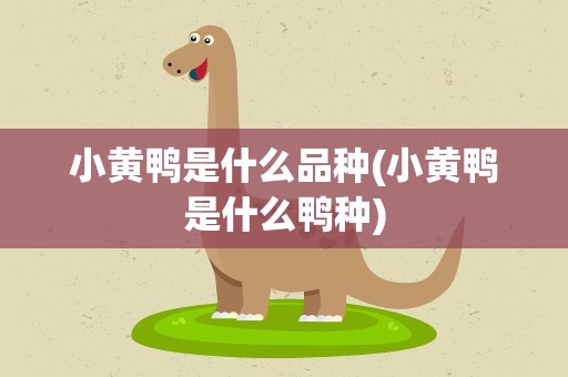 小黄鸭是什么品种(小黄鸭是什么鸭种)
