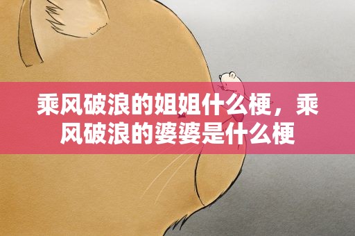 乘风破浪的姐姐什么梗，乘风破浪的婆婆是什么梗