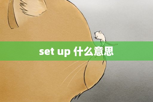 set up 什么意思