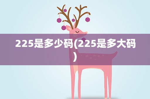 225是多少码(225是多大码)