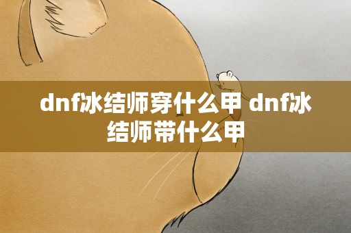 dnf冰结师穿什么甲 dnf冰结师带什么甲