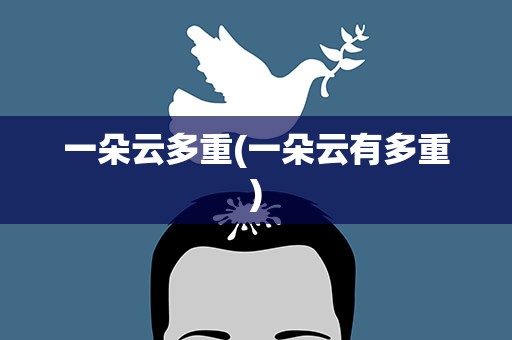 一朵云多重(一朵云有多重)