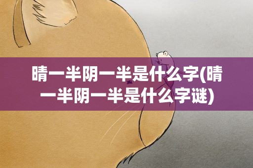 晴一半阴一半是什么字(晴一半阴一半是什么字谜)
