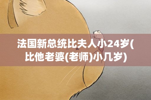 法国新总统比夫人小24岁(比他老婆(老师)小几岁)