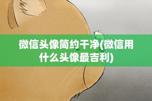 微信头像简约干净(微信用什么头像最吉利)