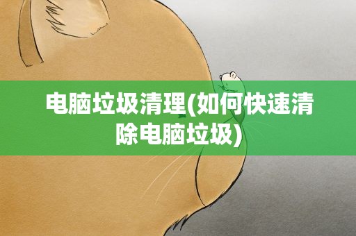 电脑垃圾清理(如何快速清除电脑垃圾)