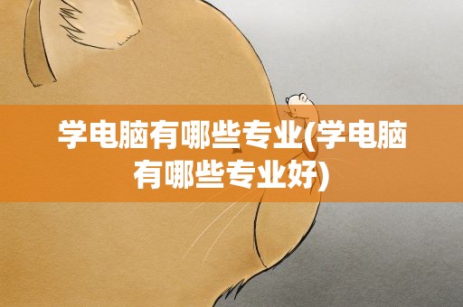 学电脑有哪些专业(学电脑有哪些专业好)