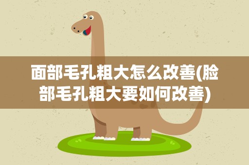 面部毛孔粗大怎么改善(脸部毛孔粗大要如何改善)