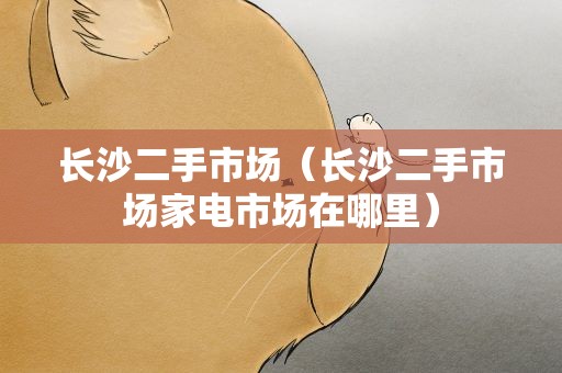 长沙二手市场（长沙二手市场家电市场在哪里）