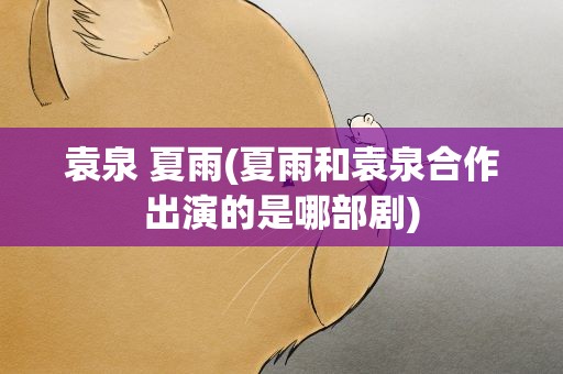 袁泉 夏雨(夏雨和袁泉合作出演的是哪部剧)