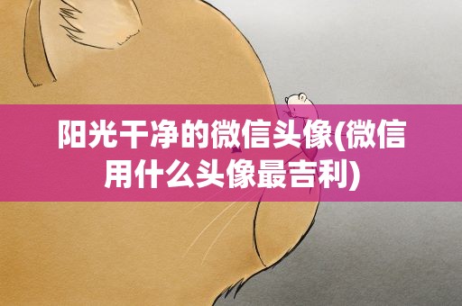 阳光干净的微信头像(微信用什么头像最吉利)