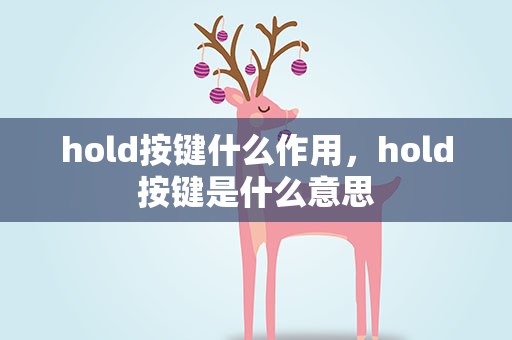 hold按键什么作用，hold按键是什么意思