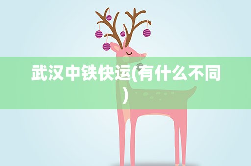 武汉中铁快运(有什么不同)