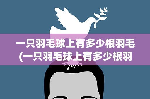 一只羽毛球上有多少根羽毛(一只羽毛球上有多少根羽毛啊)