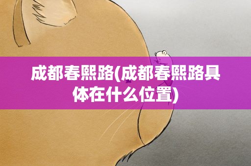 成都春熙路(成都春熙路具体在什么位置)