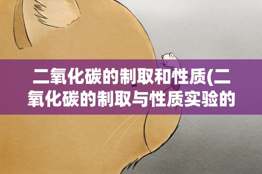 二氧化碳的制取和性质(二氧化碳的制取与性质实验的步骤)