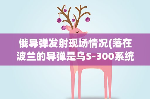 俄导弹发射现场情况(落在波兰的导弹是乌S-300系统组成部分)