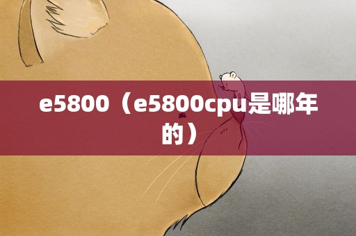 e5800（e5800cpu是哪年的）