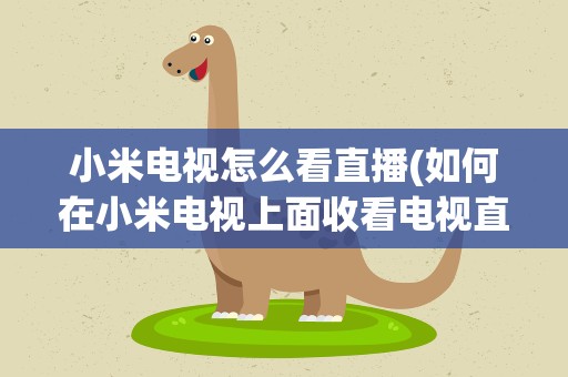 小米电视怎么看直播(如何在小米电视上面收看电视直播)