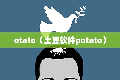 otato（土豆软件potato）