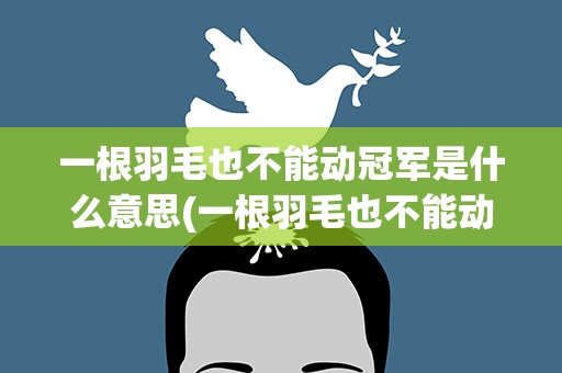 一根羽毛也不能动冠军是什么意思(一根羽毛也不能动中的冠军是什么意思)