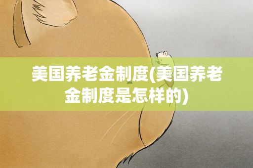 美国养老金制度(美国养老金制度是怎样的)