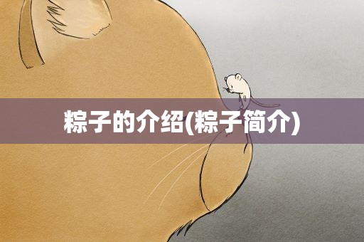 粽子的介绍(粽子简介)
