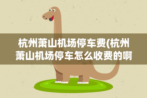 杭州萧山机场停车费(杭州萧山机场停车怎么收费的啊多少钱一天)