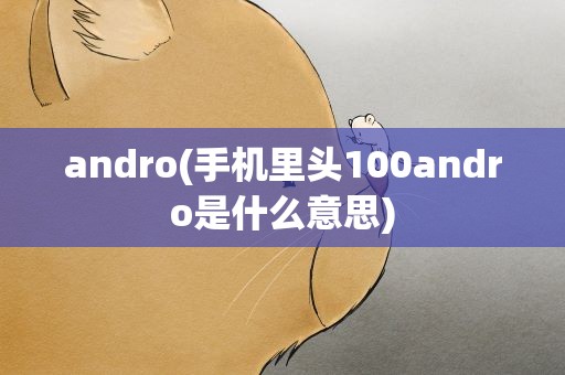 andro(手机里头100andro是什么意思)