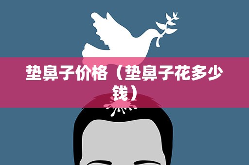 垫鼻子价格（垫鼻子花多少钱）