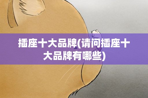 插座十大品牌(请问插座十大品牌有哪些)