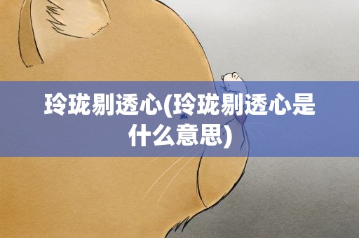 玲珑剔透心(玲珑剔透心是什么意思)