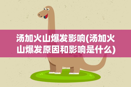 汤加火山爆发影响(汤加火山爆发原因和影响是什么)