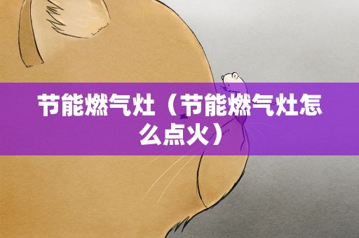 节能燃气灶（节能燃气灶怎么点火）