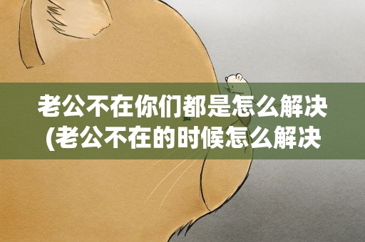 老公不在你们都是怎么解决(老公不在的时候怎么解决的)